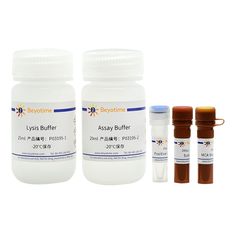 血管紧张素转换酶2(ACE2)活性荧光检测试剂盒