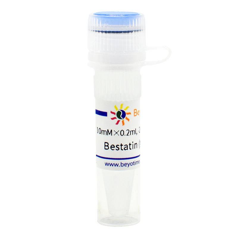 Bestatin (氨肽酶抑制剂)