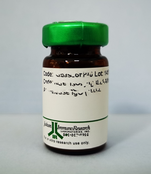 色谱级人IgG全分子——实验对照好帮手~