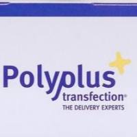 通用DNA/siRNA转染试剂jetPRIME