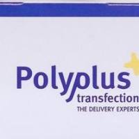 质粒DNA转染试剂jetOPTIMUS