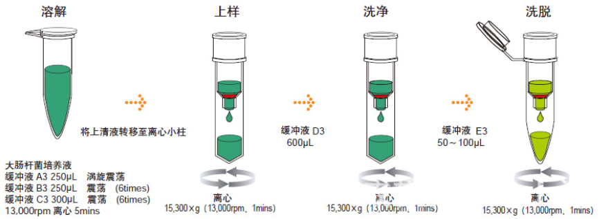 pMG36e载体/pMG36e质粒图谱/pMG36e序列