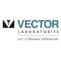 PISUM SATIVUM AGGLUTININ (10mg)/L-1050-10