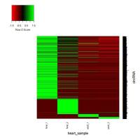 CirRNA表达量的检测