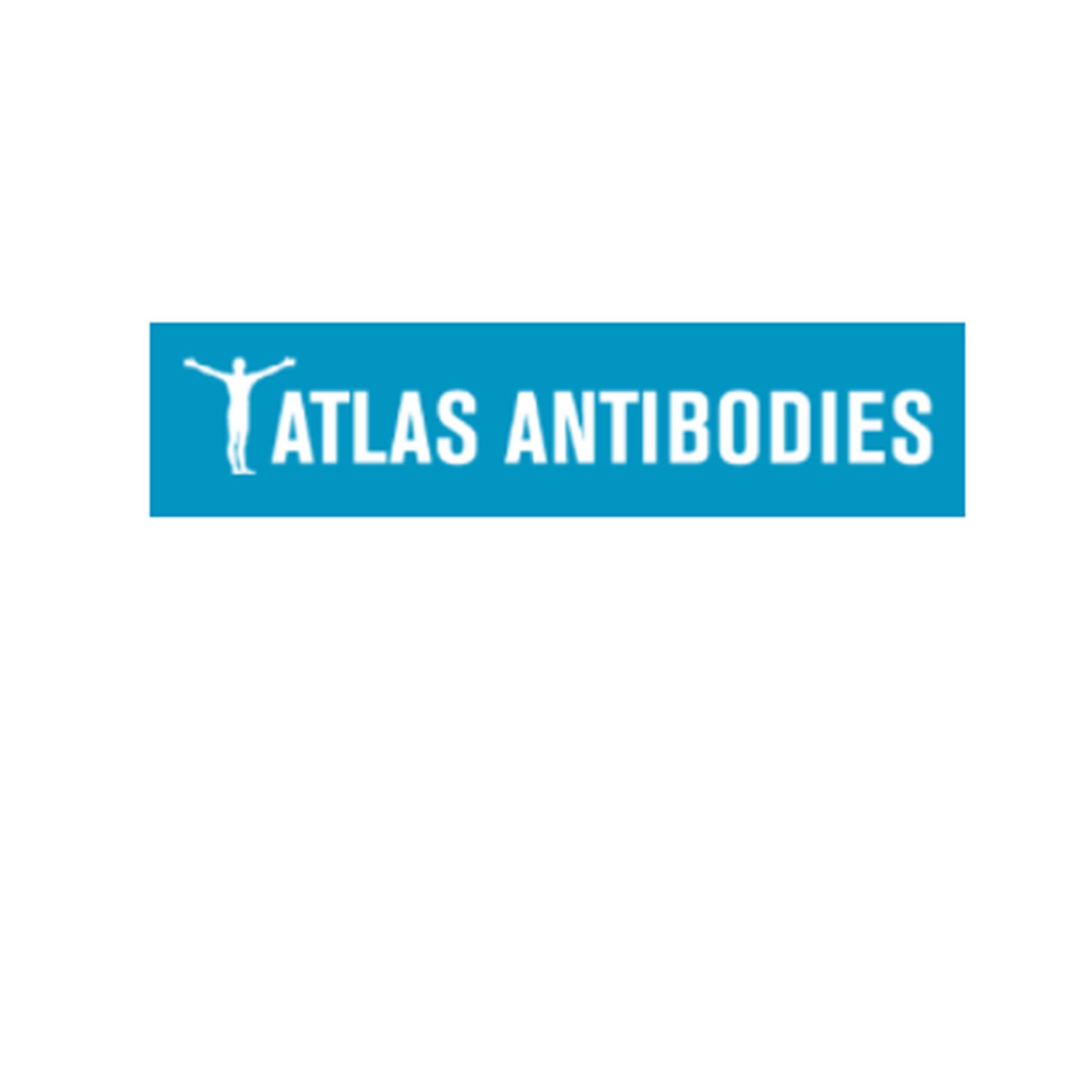 Atlas Antibodies抗体量蛋白质组学,蛋白质编码基因,基因产物，现货
