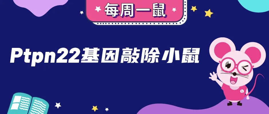 Ptpn22基因敲除小鼠与自身免疫性疾病