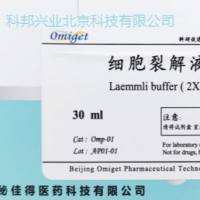 Omp-01 Laemmli Buffer （2× ）