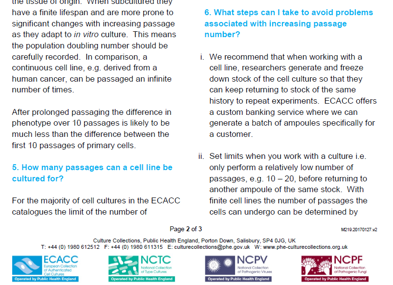 ECACC RPMI 8866细胞