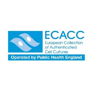 ECACC RPMI 8866细胞