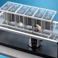 热板 / 动物行为学实验