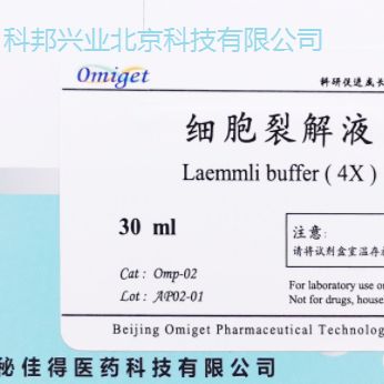 Omp-02 Laemmli Buffer （4× ）