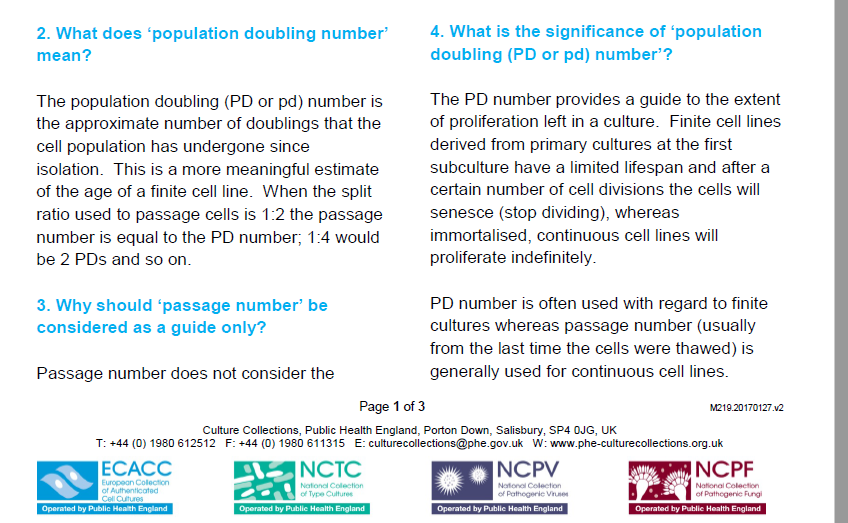 ECACC RPMI 8866细胞
