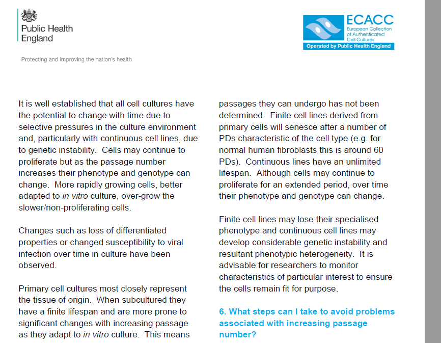 ECACC RPMI 8866细胞