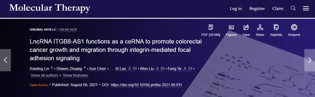 Molecular Therapy丨LncRNA ITGB8-AS1通过整合素介导的粘着斑信号促进CRC生长和迁移