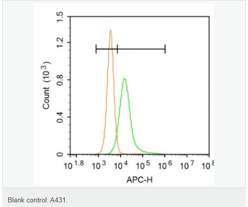 CXC趋化因子16抗体