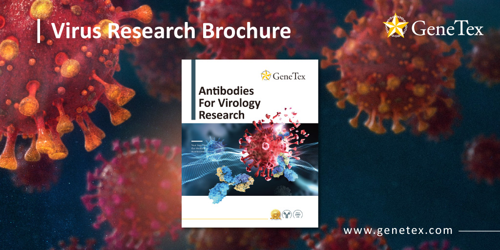 下载 GeneTex 的 Antibodies For Virology Research 小册