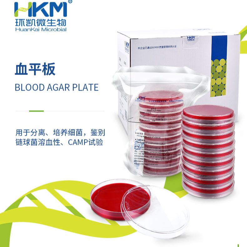 血平板（一次性成品培养基）- β-溶血性链球菌检验 - 环凯细菌培养基