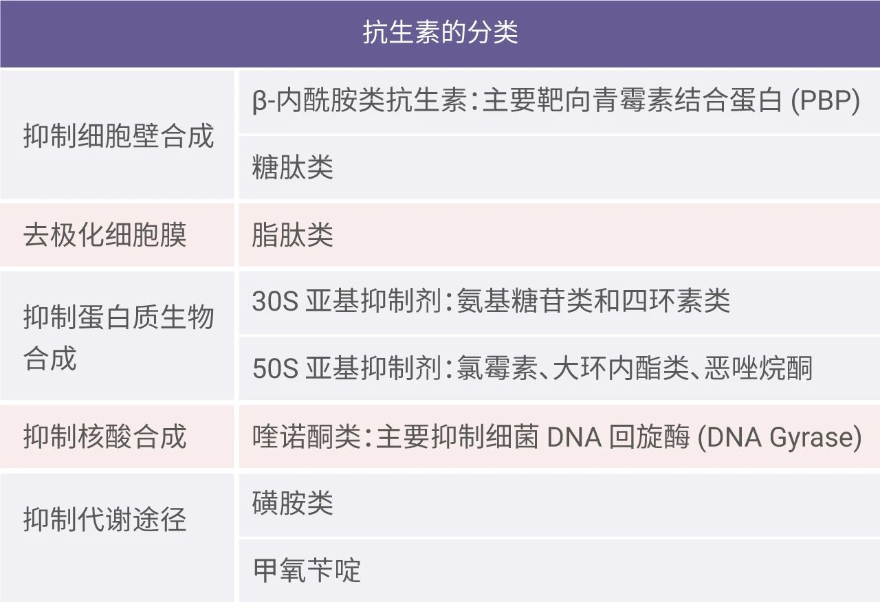 MCE | 抗生素抗性筛选