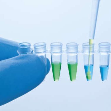 QuantiNova SYBR Green PCR Kit (500)