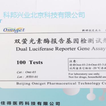 Omt-03双萤光素酶报告基因检测试剂盒