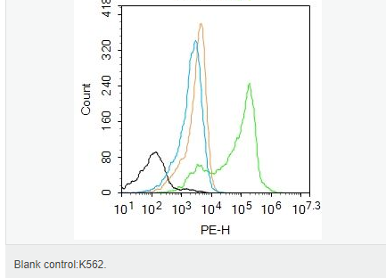 S100钙结合蛋白A7抗体