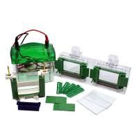 MiniProGel™蛋白制胶与电泳系统(2胶)