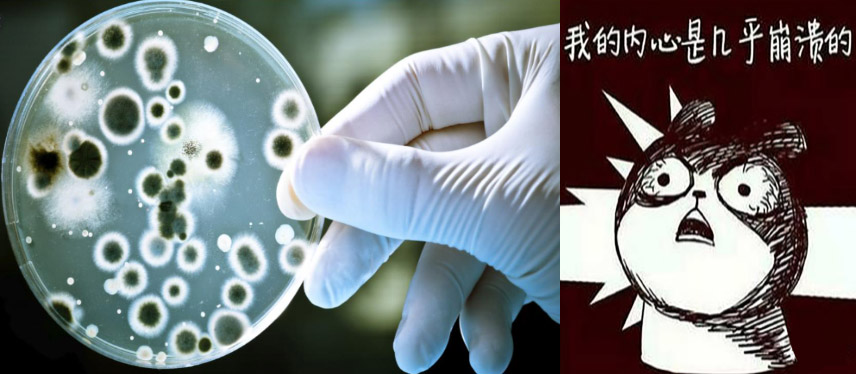 新闻图片1
