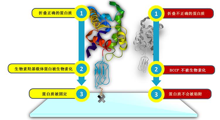 产品细节图片1