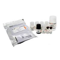 Human AXL ELISA Kit