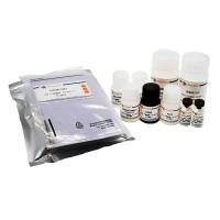 Human CCL5/RANTES ELISA Kit