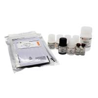 Human FGF-21 ELISA Kit