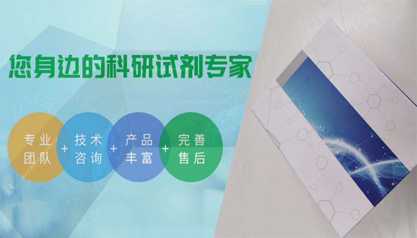 小鼠纤调蛋白(FMOD)ELISA试剂盒的结构是怎样的