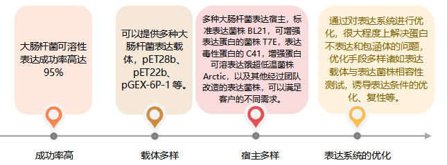 【技术服务】大肠杆菌蛋白表达系统定制服务