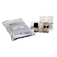 Human CRP ELISA Kit (High sensitive)