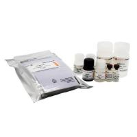 Human Coagulation Factor III/Tissue Factor ELISA Kit
