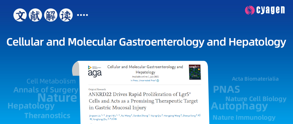 浙大二院发现治疗胃粘膜损伤的潜在靶点