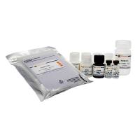 Human CXCL14  ELISA Kit