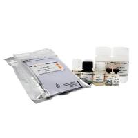 Human apoE ELISA Kit
