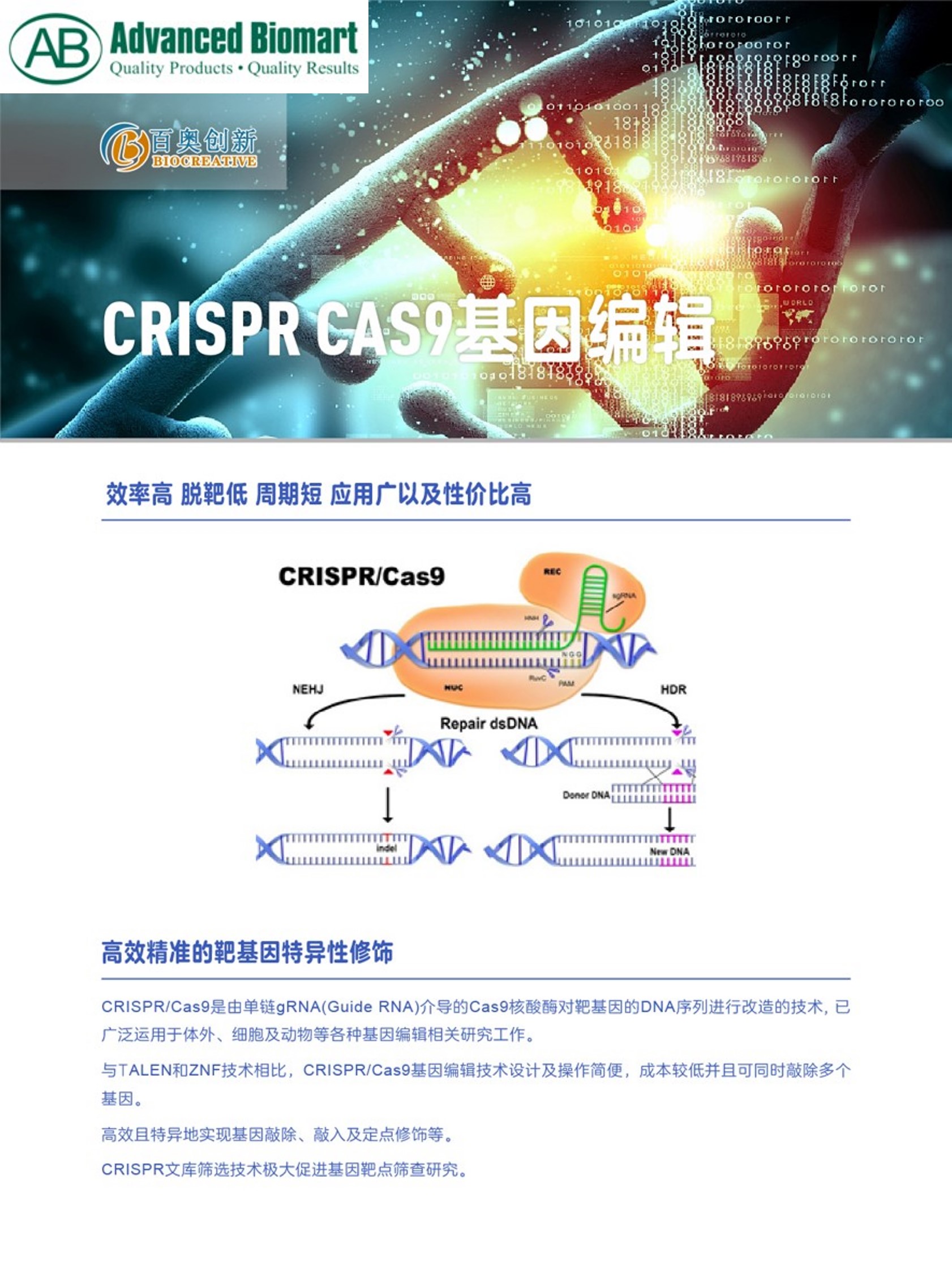 公司主营产品系列：AB™ S.p. Cas9 Nuclease