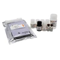 Human CD14 ELISA Kit