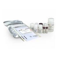 Human IL-6 ELISA Kit