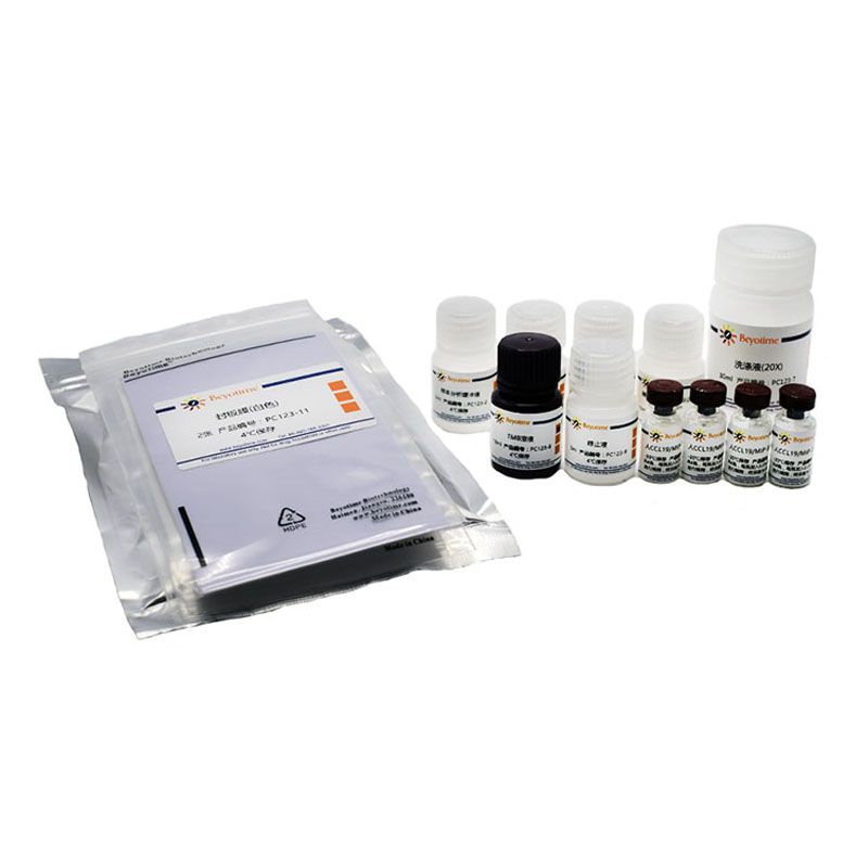 Human CCL19/ MIP-3 ELISA Kit