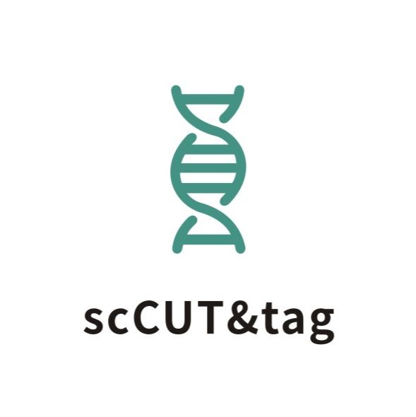 scCUT&Tag，单细胞分辨率DNA与蛋白互作