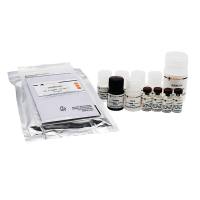 Human GDNF ELISA Kit