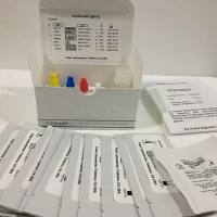 禽流感H5实时荧光定量 RT-PCR 快速检测试剂