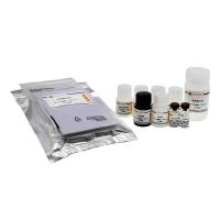 Human Resistin ELISA Kit
