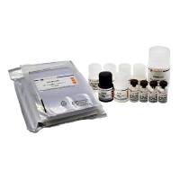 Human IL-23 ELISA Kit