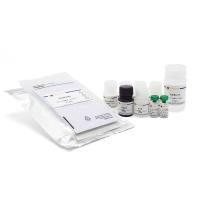Human IL-2 ELISA Kit