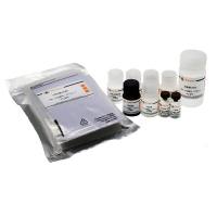 Human TREM 1 ELISA Kit