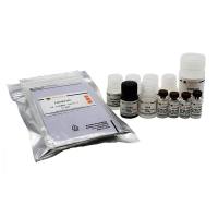Human IL-36beta ELISA Kit